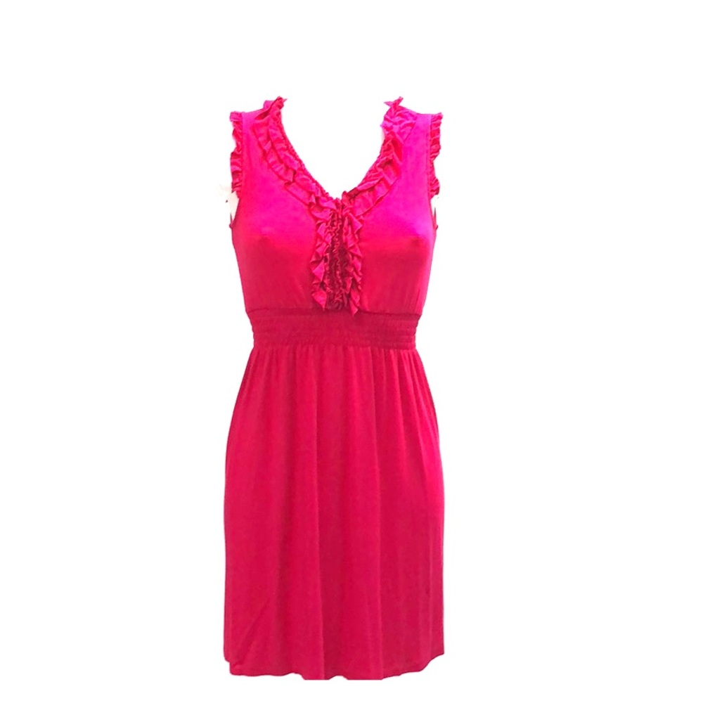 Magenta Spense Petite Dress
